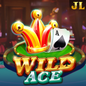 Wild Ace Game demo